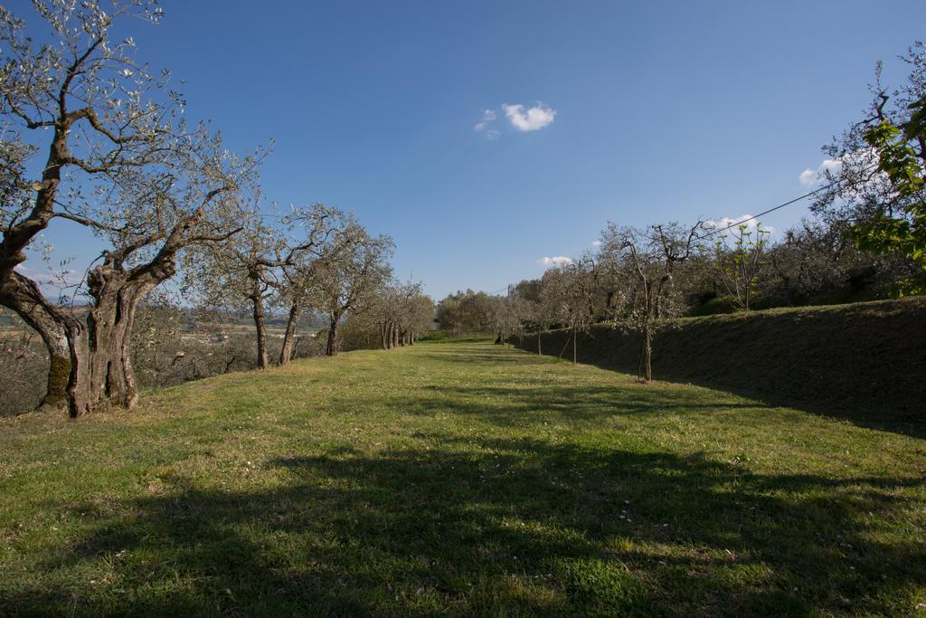 לוצ'יניאנו Casa Montalgallo מראה חיצוני תמונה